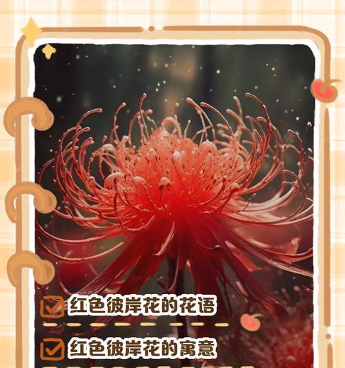 鲜花的花语有哪些？鲜花代表什么花语？