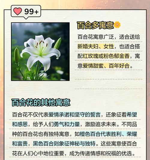 哪种花的花语代表恋爱？它象征着什么？