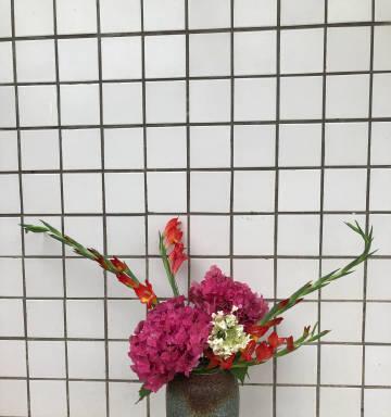 香菜花束的花语有何深意？