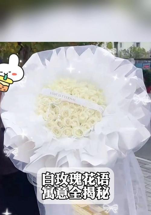 白玫瑰描边的花语是什么意思？