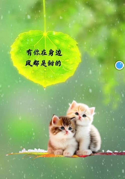 遗憾的话语花语代表什么含义？