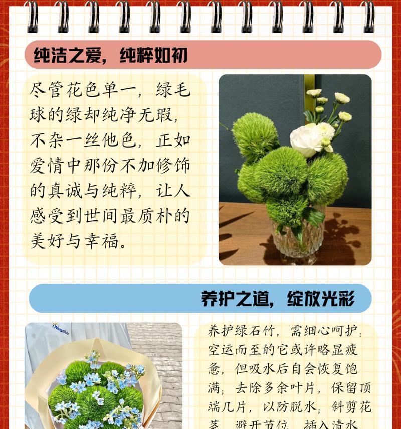 理性的恋爱花语通常指哪种花？