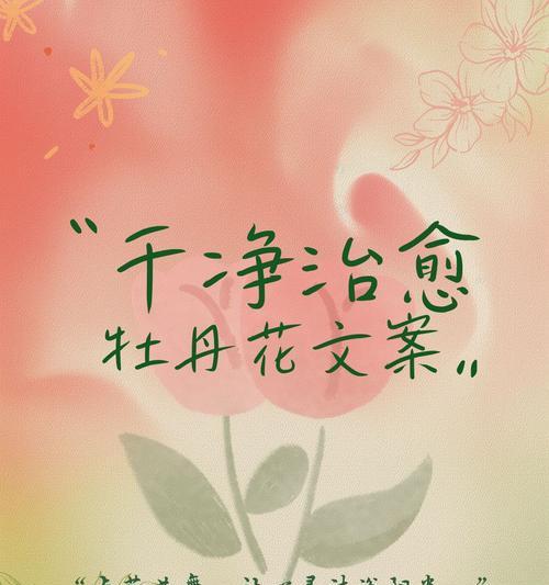 小尺寸高冷花卉的花语有何不同？