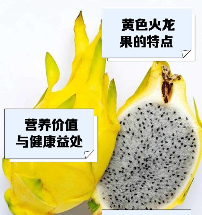 火龙果树的外观特征是什么？如何识别火龙果树？