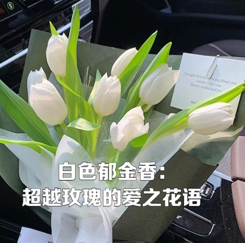 哪种花的花语表达了超越距离的爱？