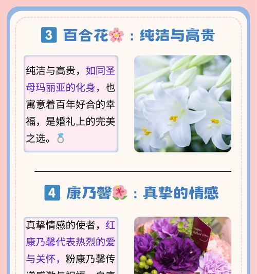 温柔藏于心的花语有何深层含义？