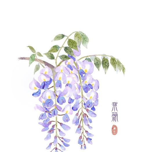 哪种花的花语是为爱而生？