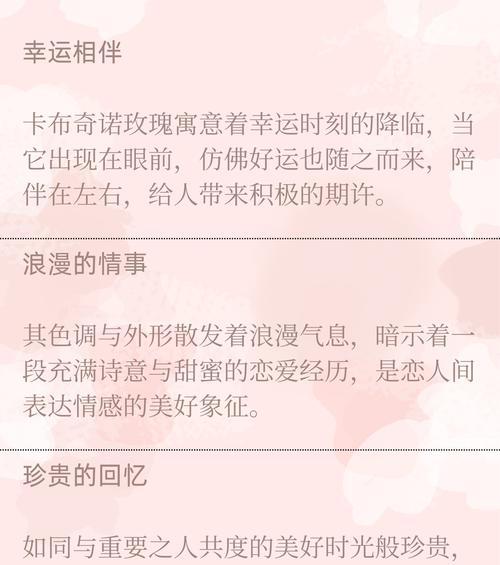哪些花语能打动女人？它们各自代表了什么情感？