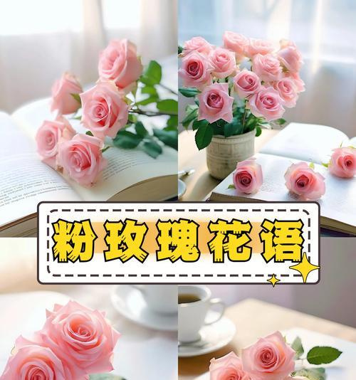 四条玫瑰的花语是什么？它传递了怎样的爱意？