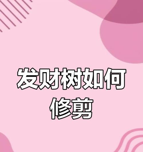 小叶发财树修剪的最佳时机是什么时候？如何修剪才能促进生长？