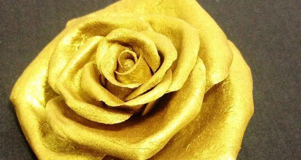 玫瑰花金色寓意是什么含义？金色玫瑰代表了什么？