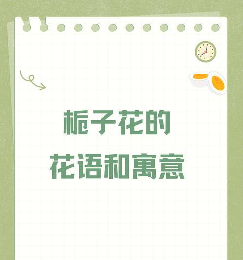 栀子花的寓意和花语精神是什么？它传递了哪些信息？