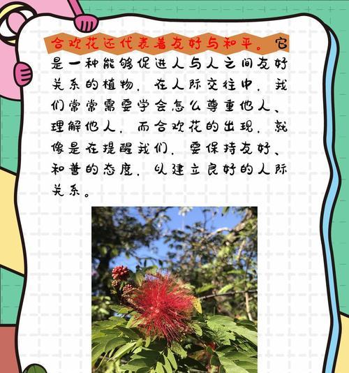 哪种花的花语代表独立？独立的花语如何表达？