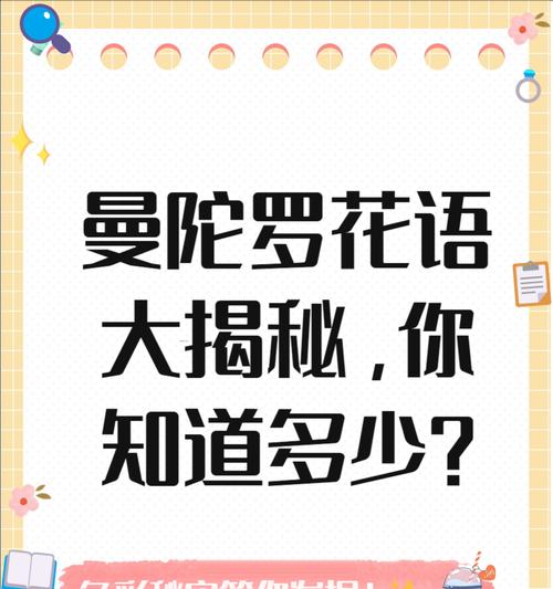 什么花的花语是神秘？神秘的花语是什么？
