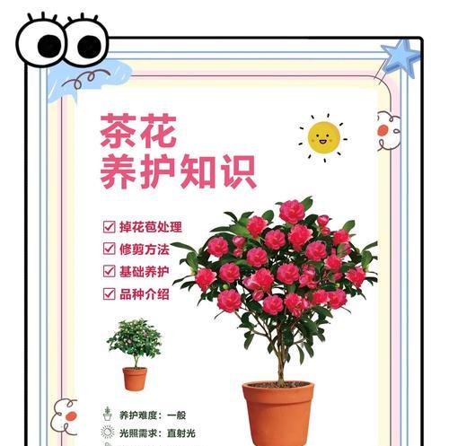 茶花掉叶子的原因是什么？如何预防和解决这个问题？