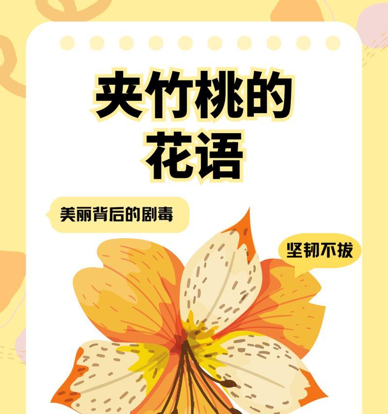 超实用的花语是什么花？哪种花的花语最实用？