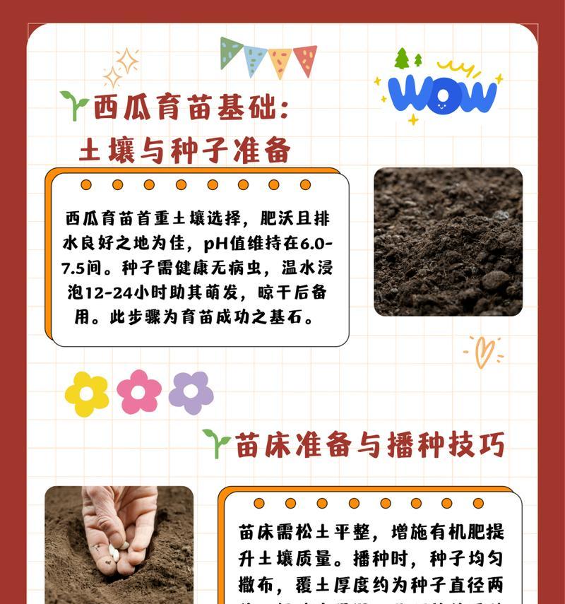 花种子育苗的正确步骤是什么？如何提高育苗成功率？