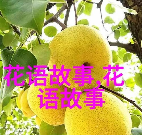 日常生活中花语有哪些？花语如何融入日常？