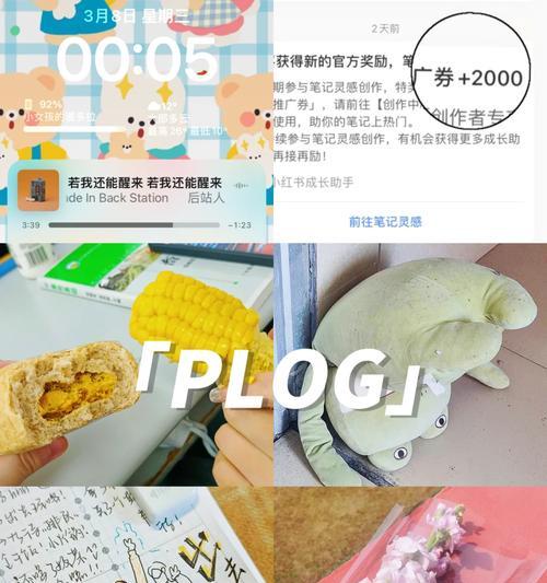 日常生活中花语有哪些？花语如何融入日常？