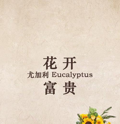 尤加利的花语有何深意？