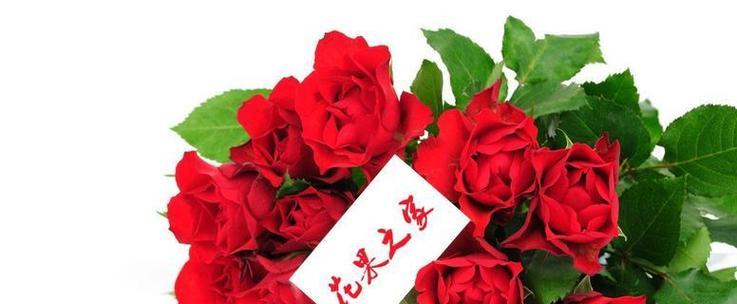 淡褐色玫瑰花的花语是什么？它传递了哪些情感？