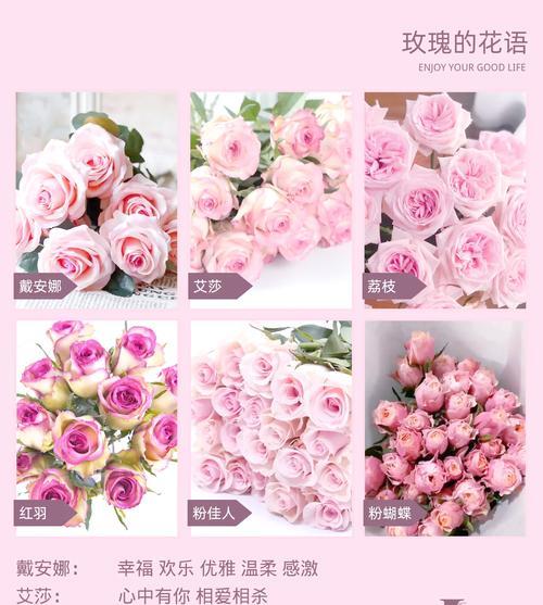 33朵粉玫瑰的花语是什么？它代表了什么含义？