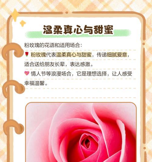 33朵粉玫瑰的花语是什么？它代表了什么含义？