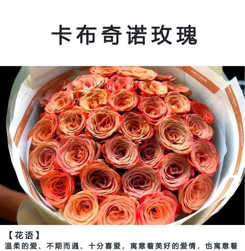 玫瑰花在人生中有哪些特别的寓意？