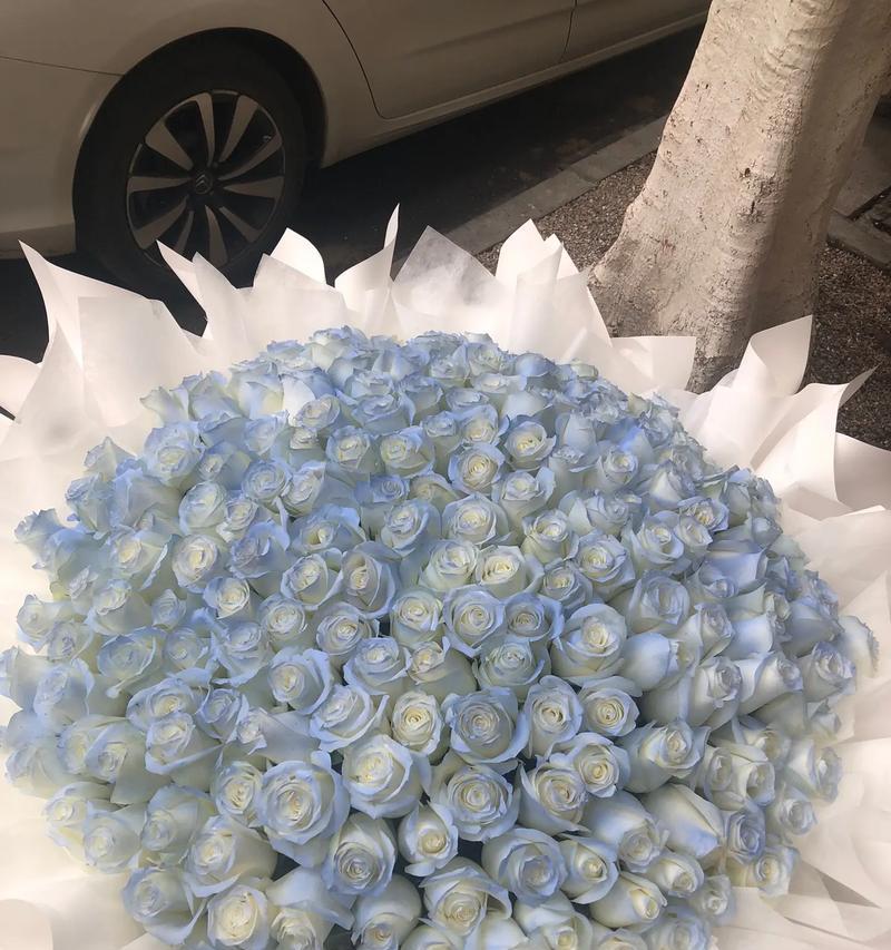 99朵霓裳玫瑰代表什么花语？送99朵玫瑰有何深意？