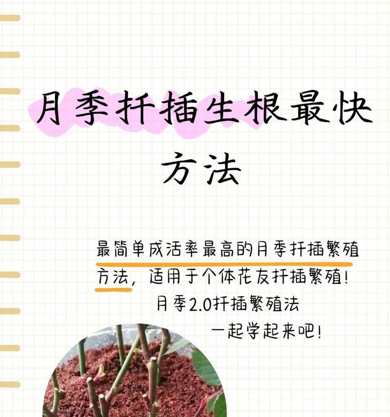 迎春扦插的最佳时间是什么时候？