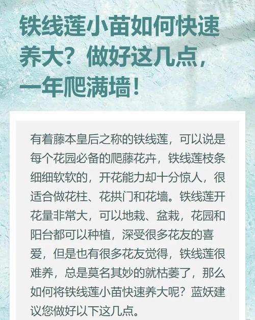 铁线莲适合种植在什么类型的土壤中？如何选择合适的土壤？