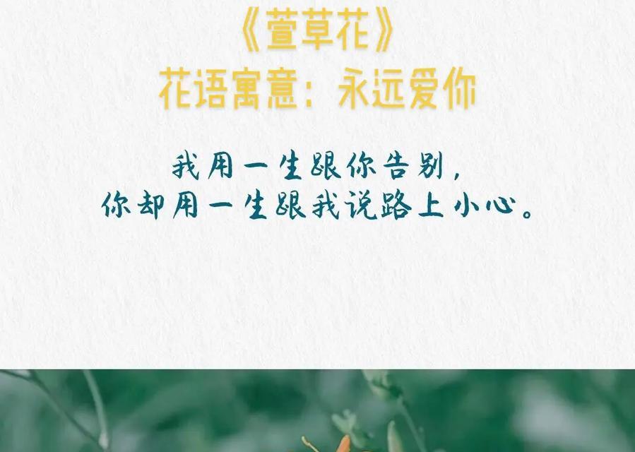 送给姨父的花语是什么呢？适合送给长辈的花有哪些？
