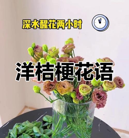 洋桔梗花语是什么意思？