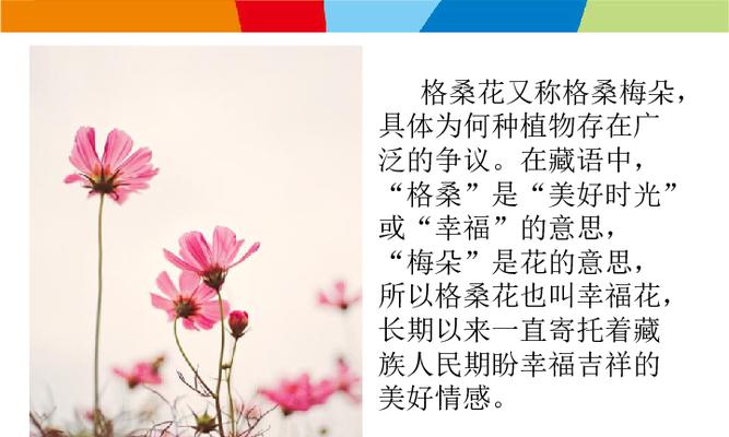 什么的花语是可惜？哪种花代表遗憾和惋惜？