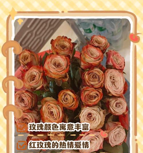 玫瑰花语代表什么意思？不同颜色玫瑰花的含义是什么？