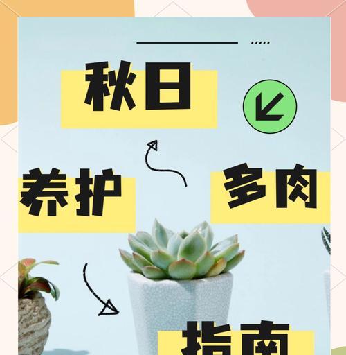 多肉植物秋季换盆时间？秋天如何给多肉换盆？
