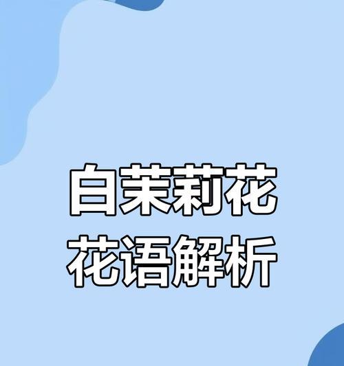 茉莉花的花语通常表达什么？