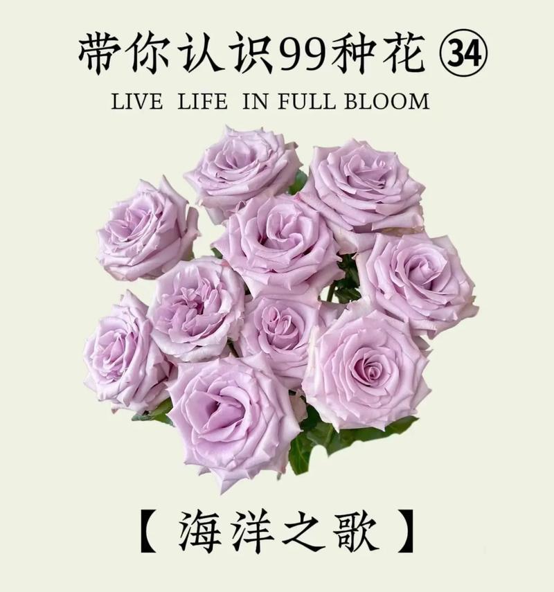 无心的花语代表什么？这种花象征着什么含义？