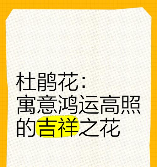 杜鹃花的花语有哪些含义？杜鹃花在不同文化中的寓意是什么？