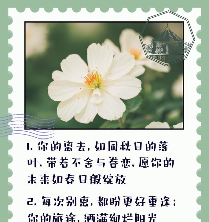 离别时爱情的花语有哪些？