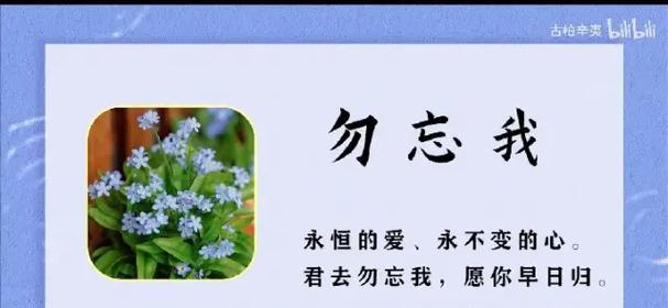 离别时爱情的花语有哪些？