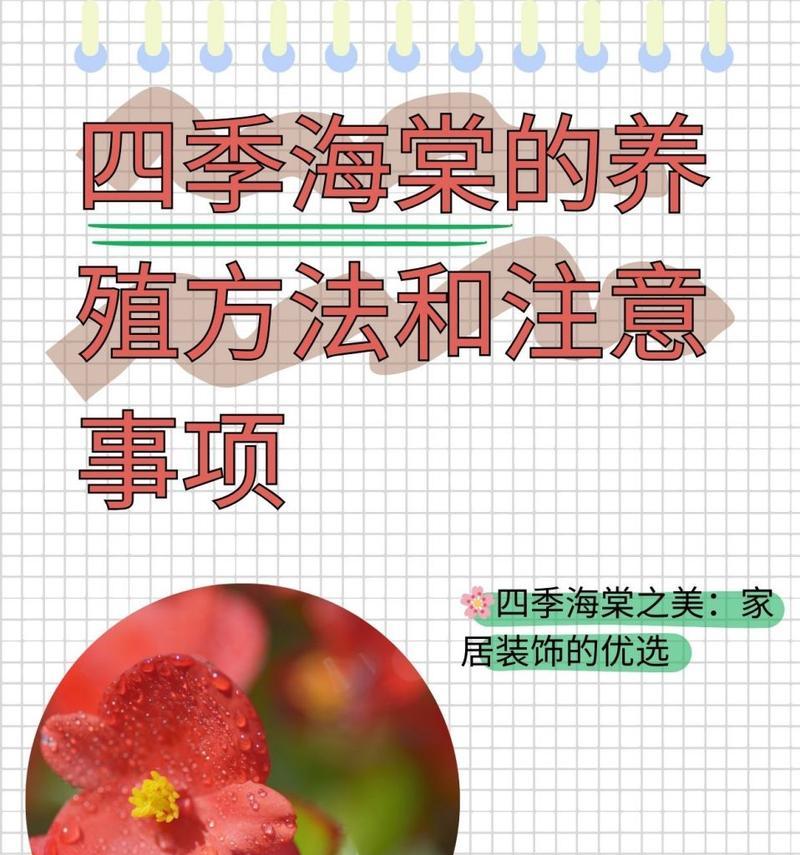 大叶海棠花的养殖方法是什么？需要注意什么？