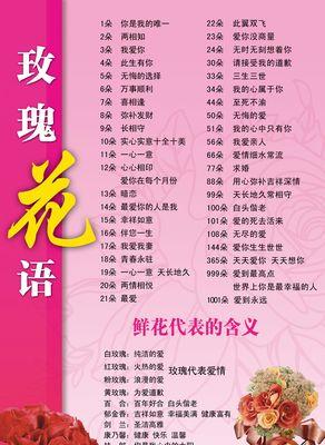 白花玫瑰花的花语有哪些？
