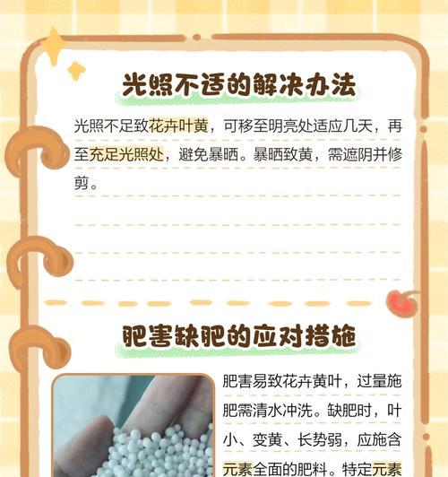 花卉叶片发黄的原因及解决方法是什么？