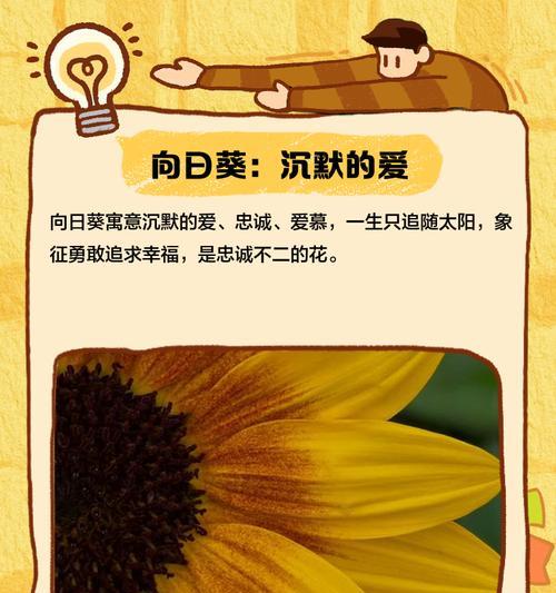 花语中第一份爱代表了什么？