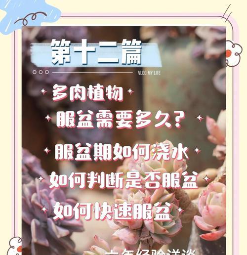 多肉植物怎么种？有哪些种植技巧和注意事项？