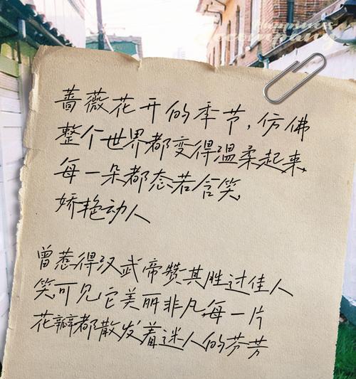 蔷薇的花语寓意有何深意？蔷薇花语寓意着什么？