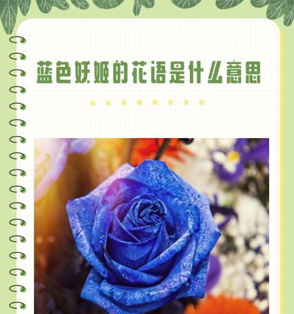 三朵冰蓝玫瑰的花语代表什么？