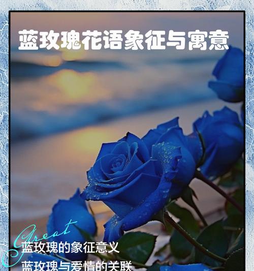 三朵冰蓝玫瑰的花语代表什么？
