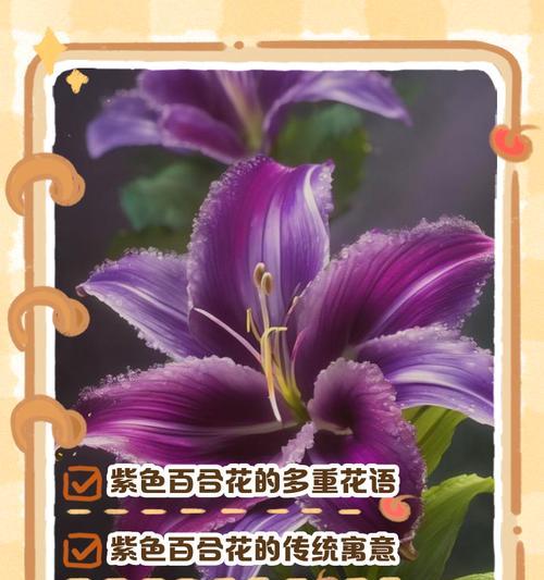 喜欢的花语有哪些？哪种花代表喜欢？